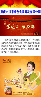 跨界融合 汀來(lái)綠色食品開發(fā)與重慶軟件開發(fā)的協(xié)同發(fā)展